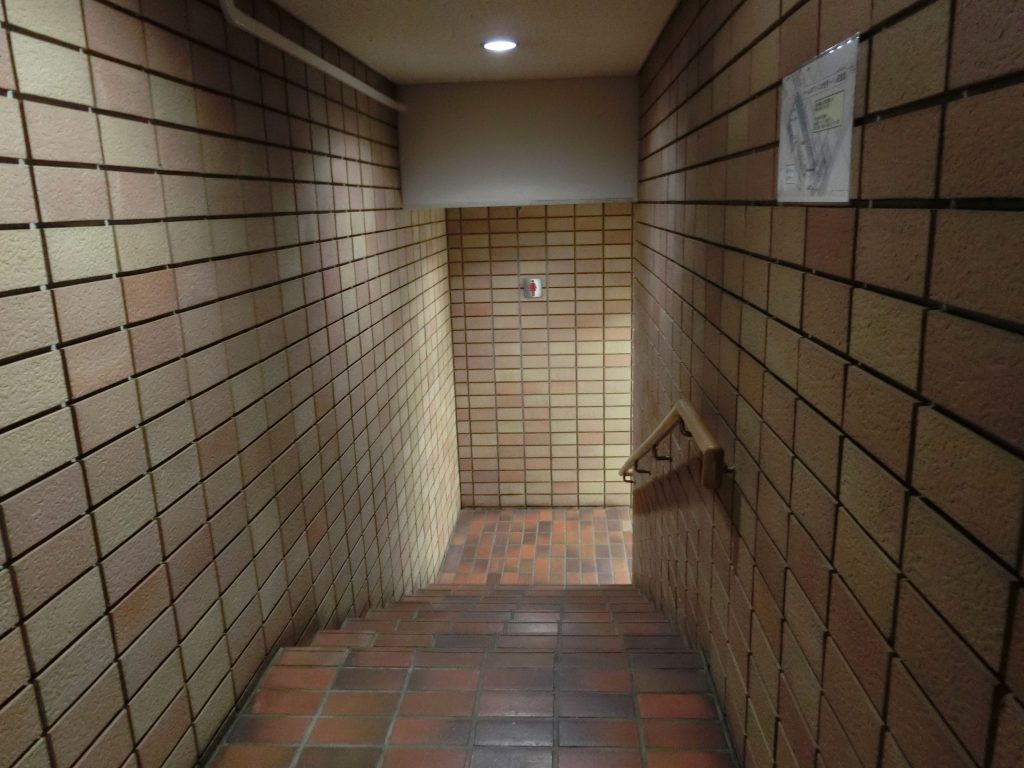 ホールのトイレは男女トイレ共に階段がある（11段）。